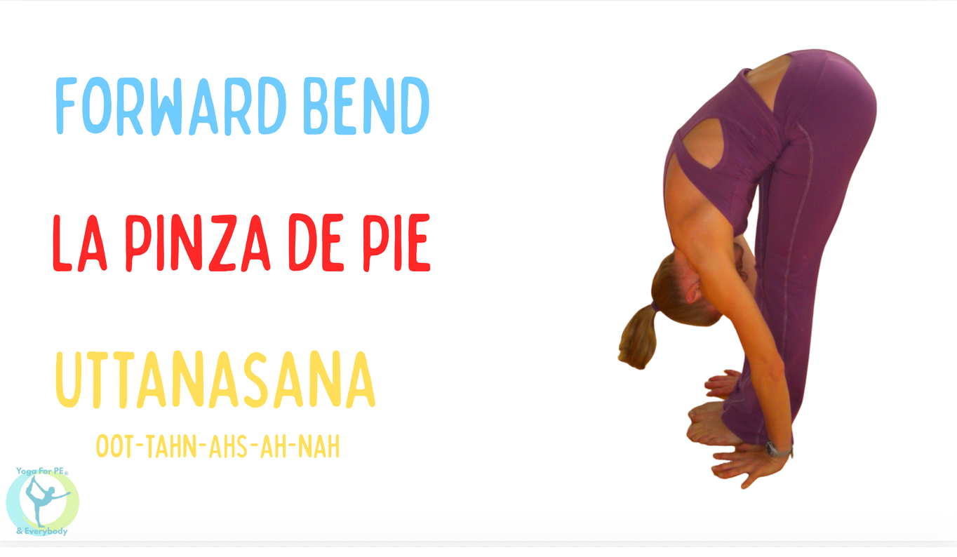 Forward Bend pose card in English–Spanish–Sanskrit arrangement: FORWARD BEND / LA PINZA DE PIE / UTTANASANA with phonetic pronunciation and pose photo